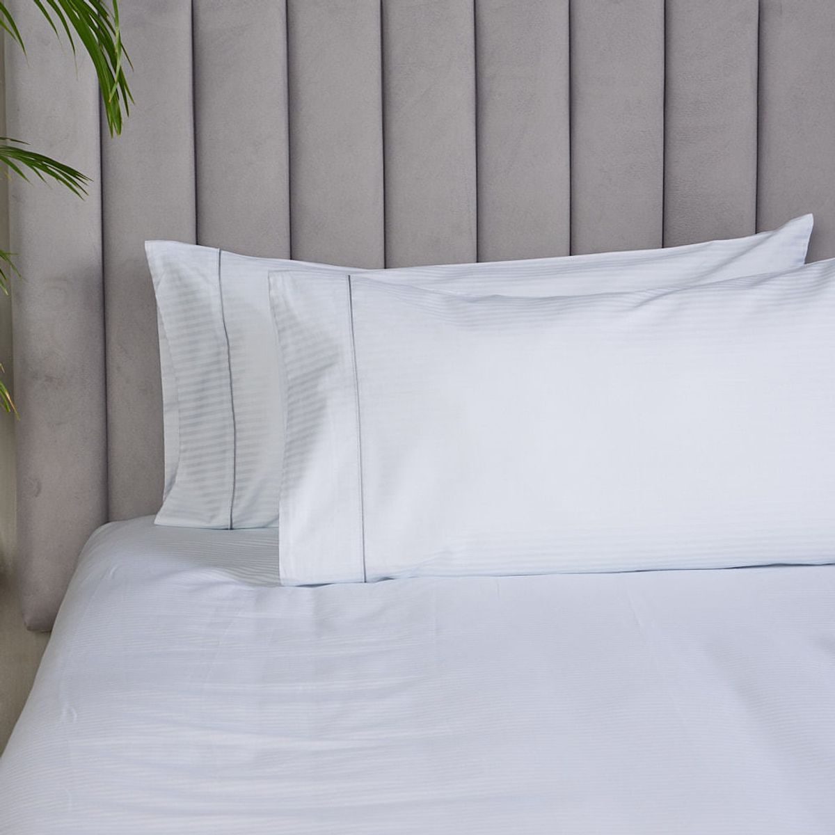 DISTRIHOGAR - Set x 2 Fundas 300 hilos Algodón Blanco 50 x 90 cm