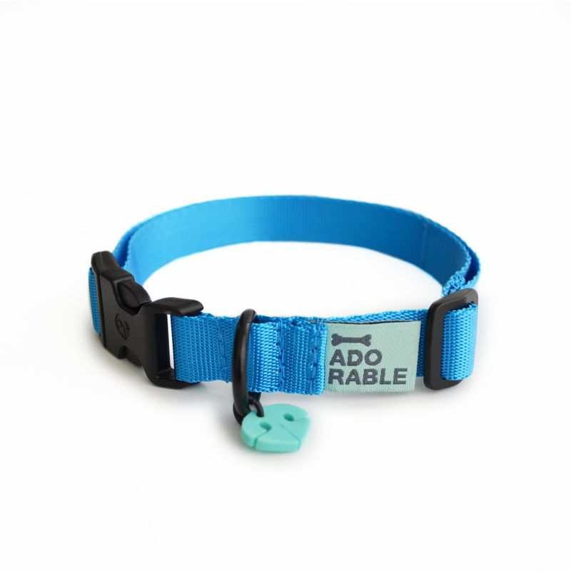 WAWAW - Collar para perro XL unicolor adorable azul conquistador