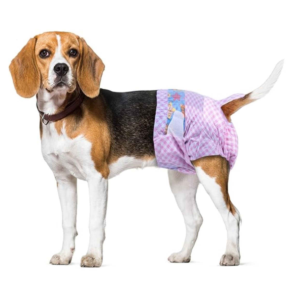 HALLY PET - Pañal hembra Talla S por 10 Unidades