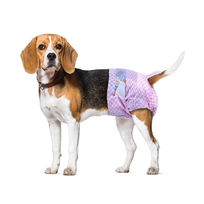 HALLY PET - Pañal hembra Talla S por 10 Unidades