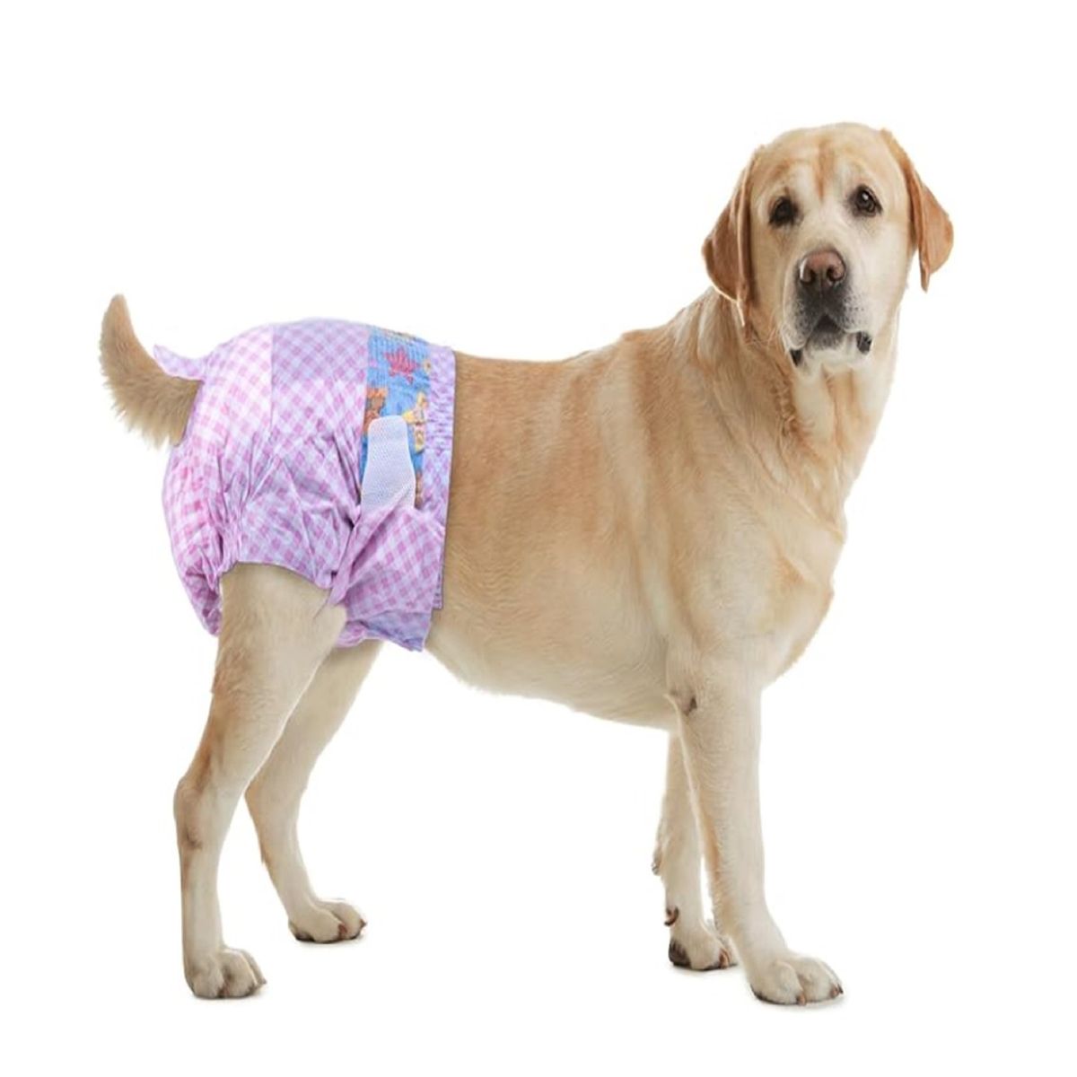 HALLY PET - Pañal hembra Talla L por 10 Unidades