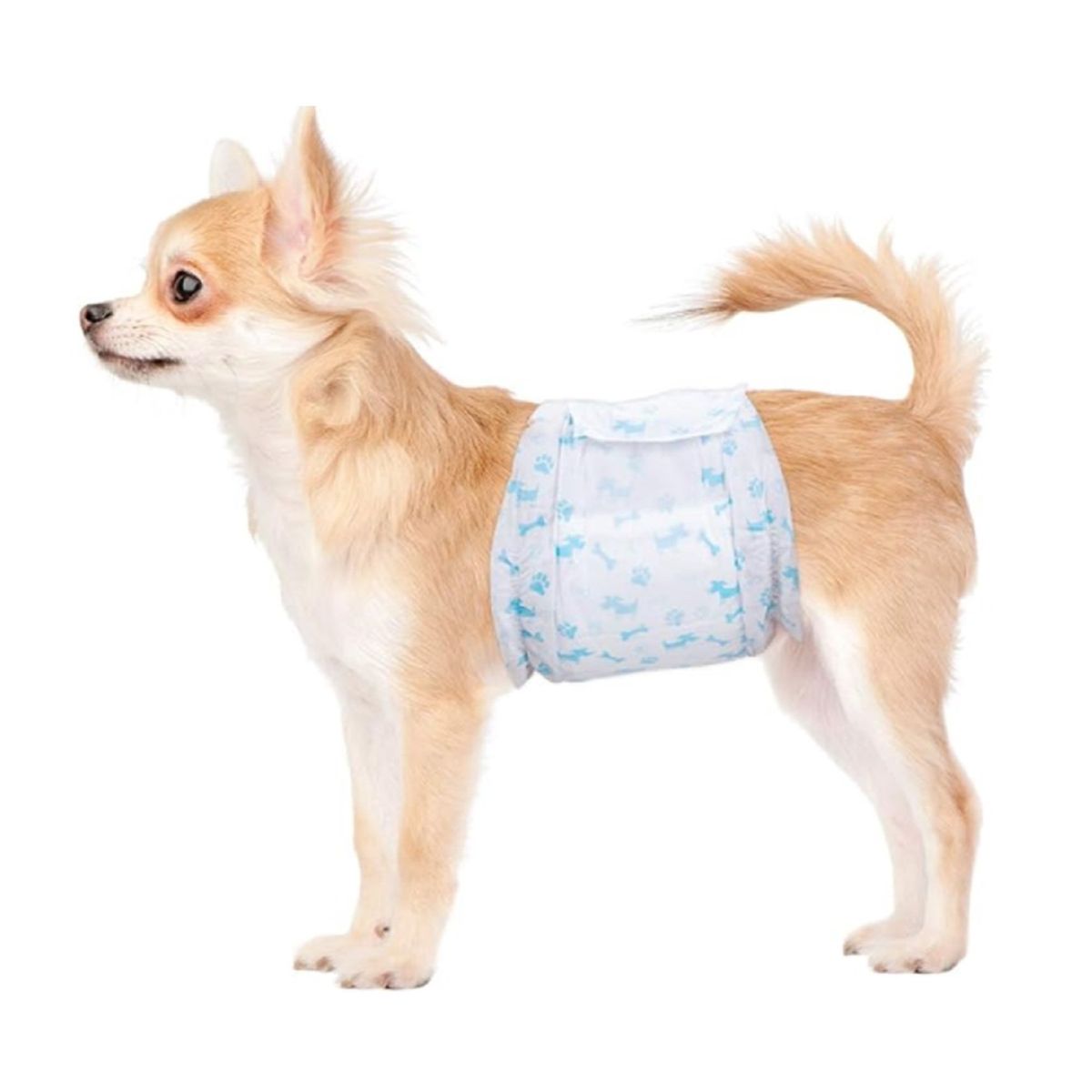 HALLY PET - Pañal macho Talla L por 12 Unidades