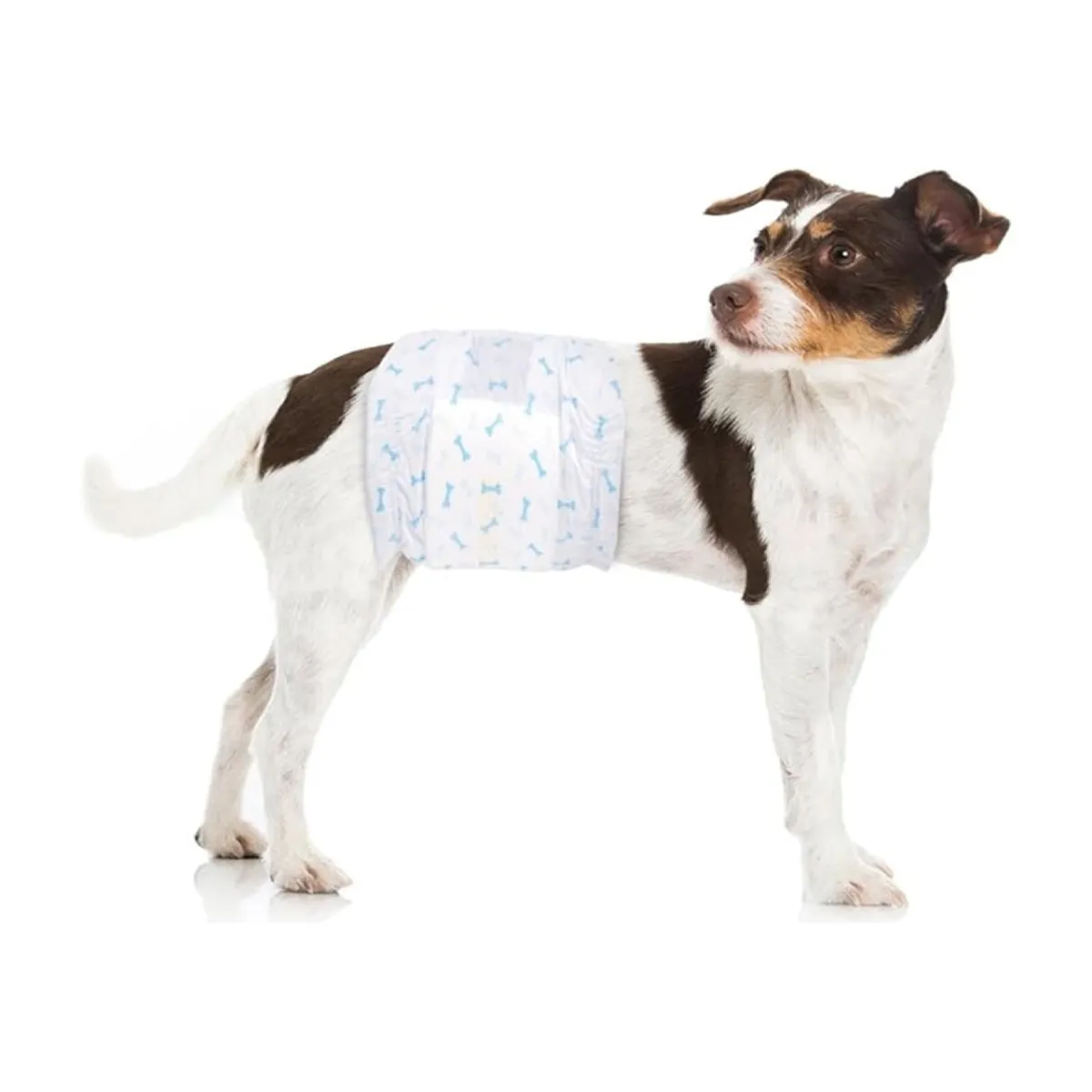 HALLY PET - Pañal macho Talla S por 12 Unidades