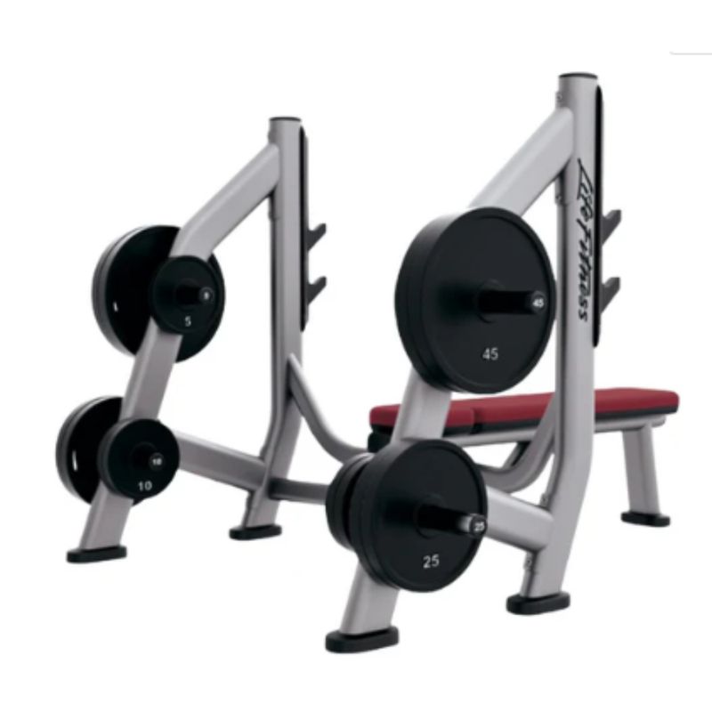 LIFE - SOPORTE PARA DISCOS SOBWS LIFE FITNESS