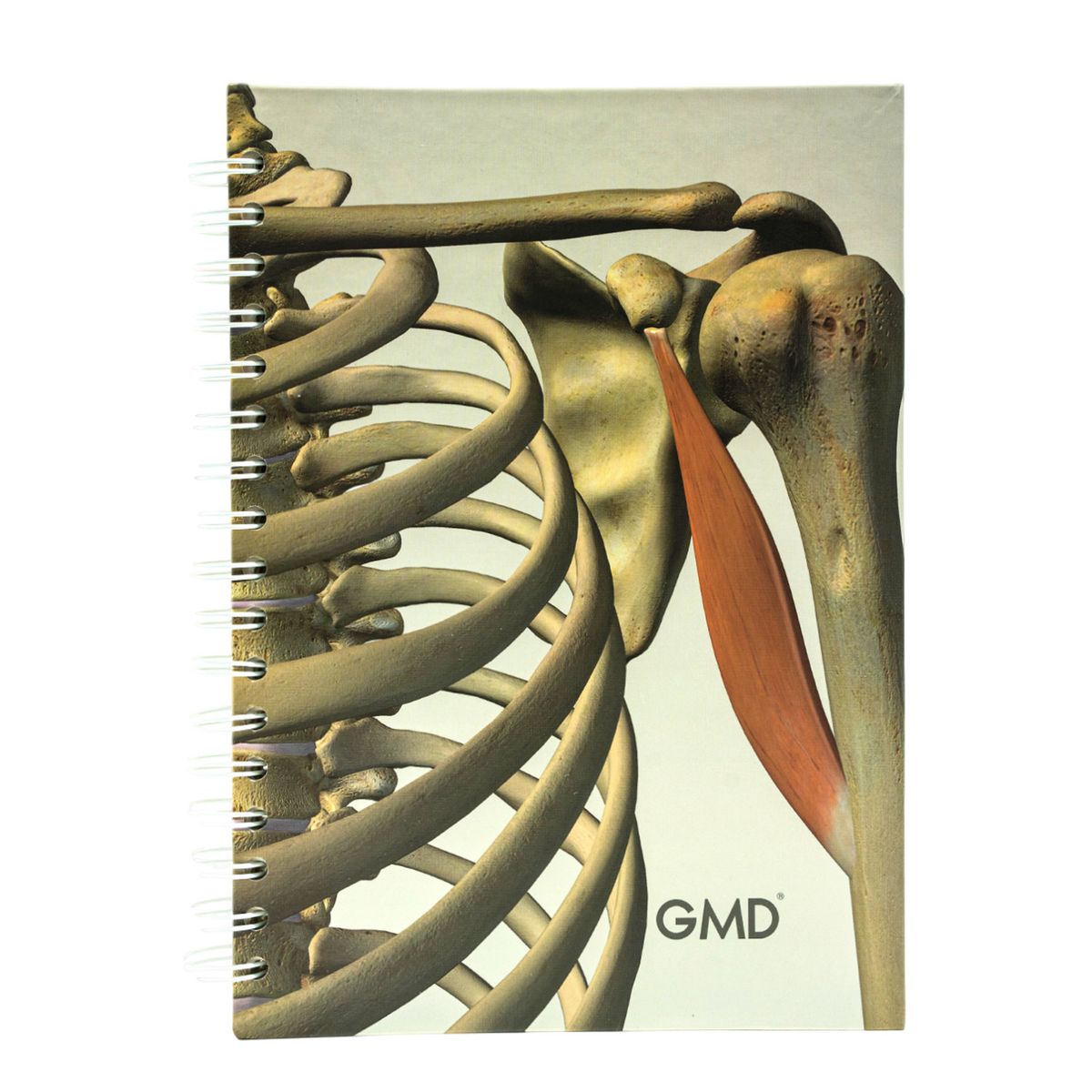 GMD - Cuaderno Agenda Para Enfermería Y Medicina 120 Hojas