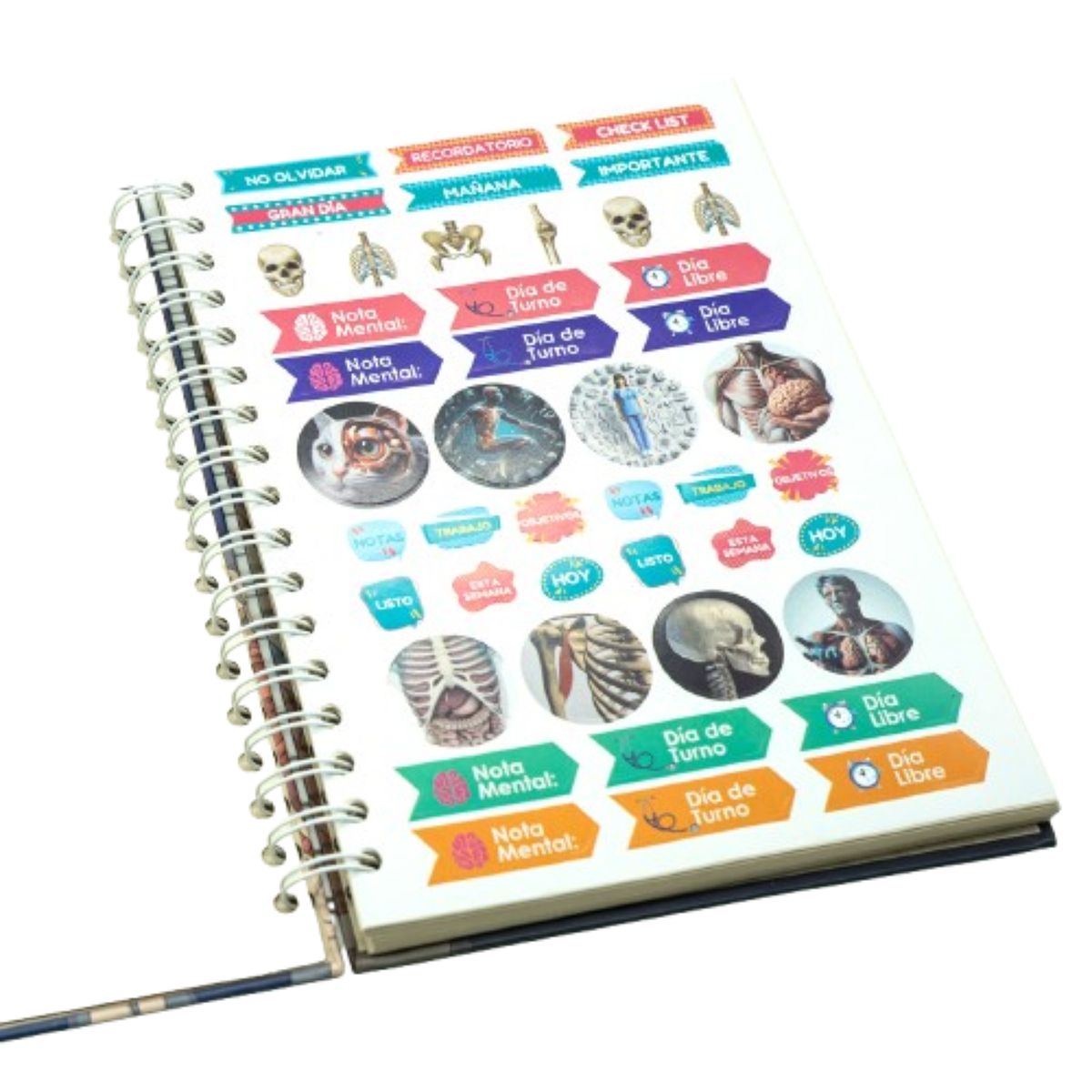 GMD - Cuaderno Agenda Para Enfermería Y Medicina 120 Hojas Pulmones