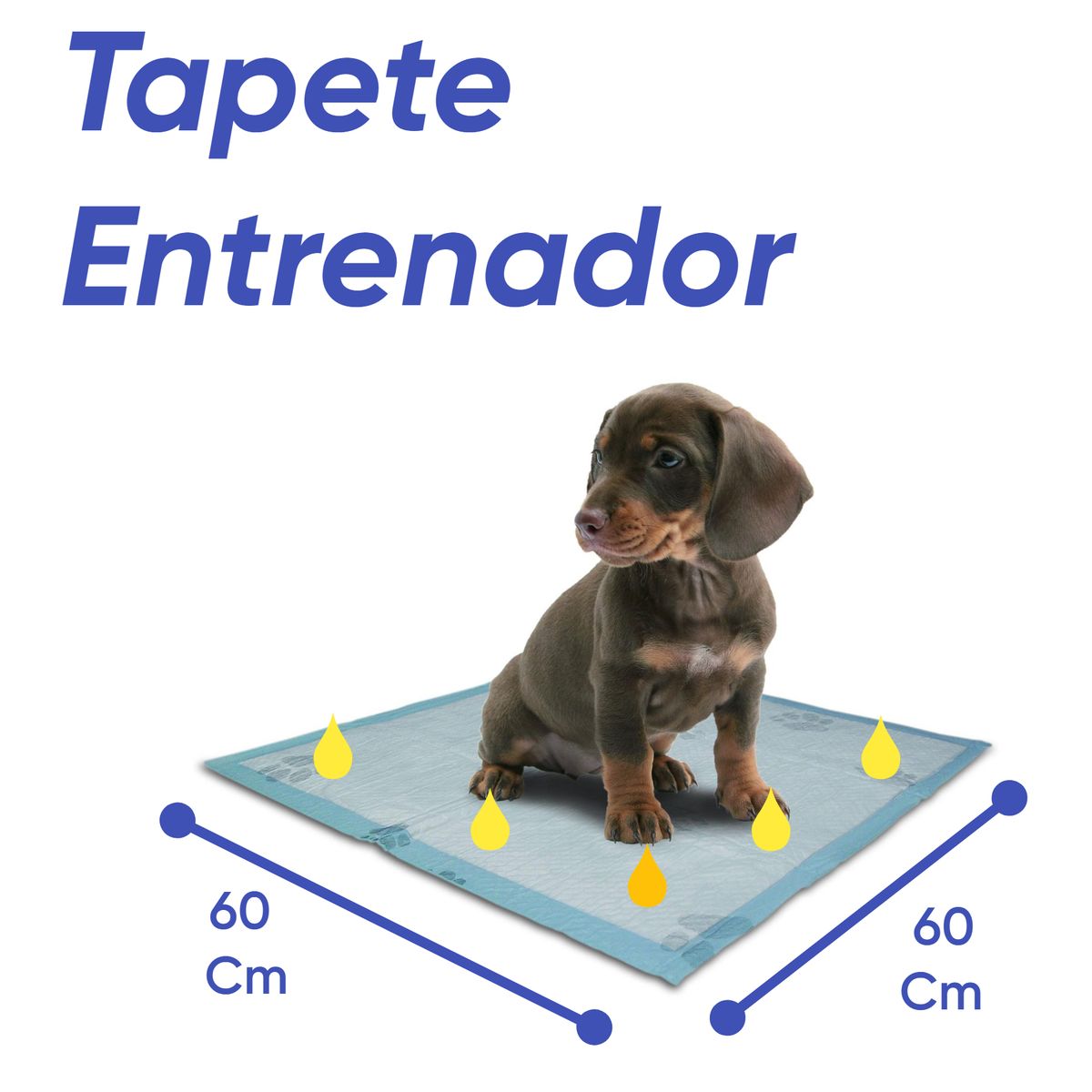 HALLY PET - Tapete entrenador Talla L 90 und para perros 60cm x 60cm
