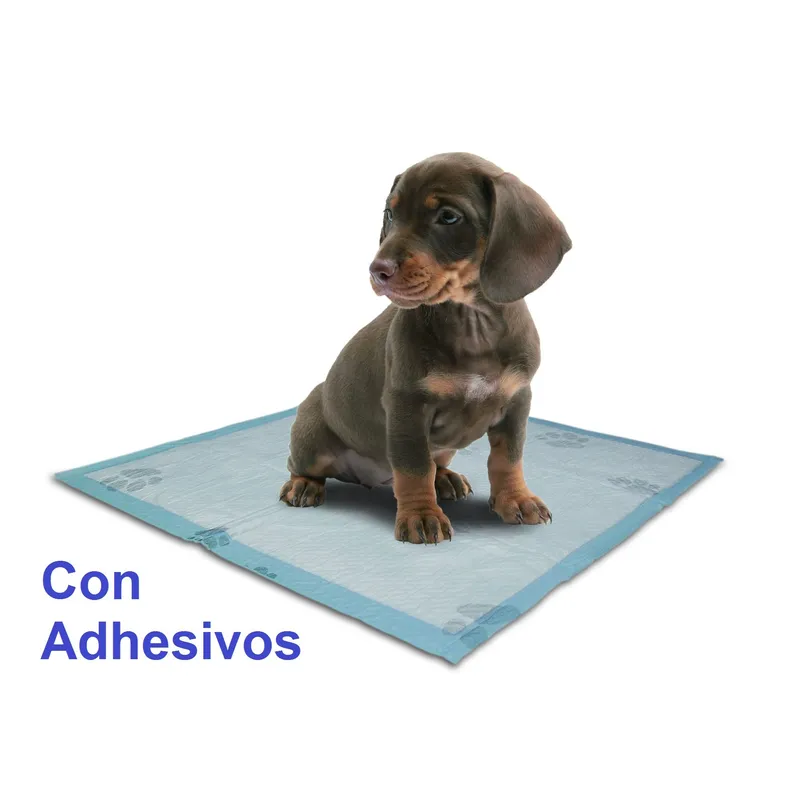 HALLY PET - Tapete entrenador talla L 60 und con adhesivo 60x60