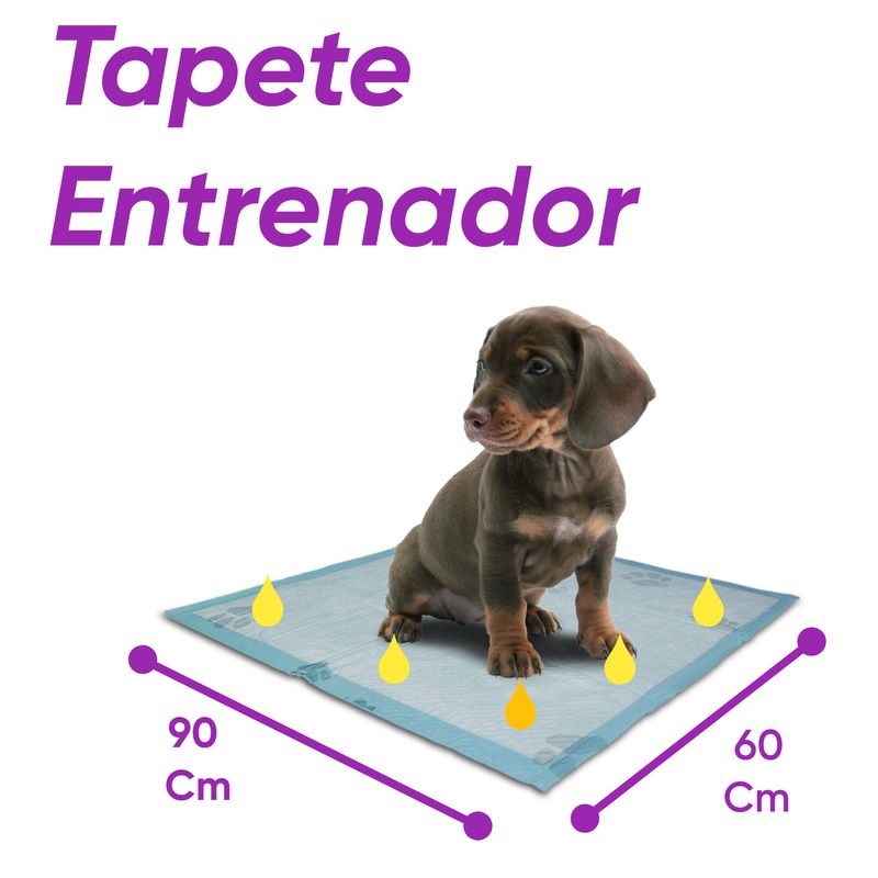 HALLY PET - Tapete entrenador Talla XL 20 und para perros 90cm x 60cm