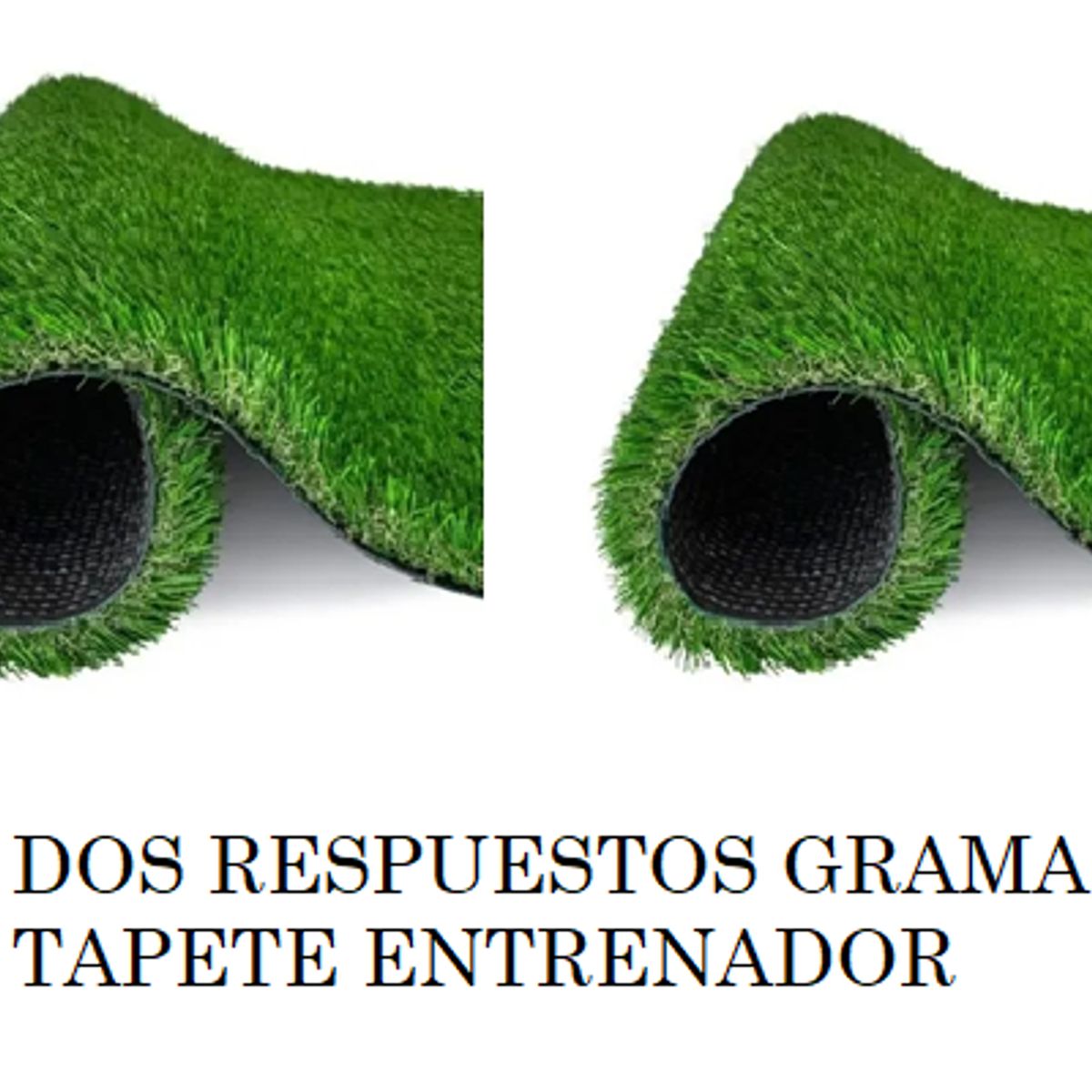 HALLY PET - Tapete entrenador Grande con grama + 2 repuestos grama