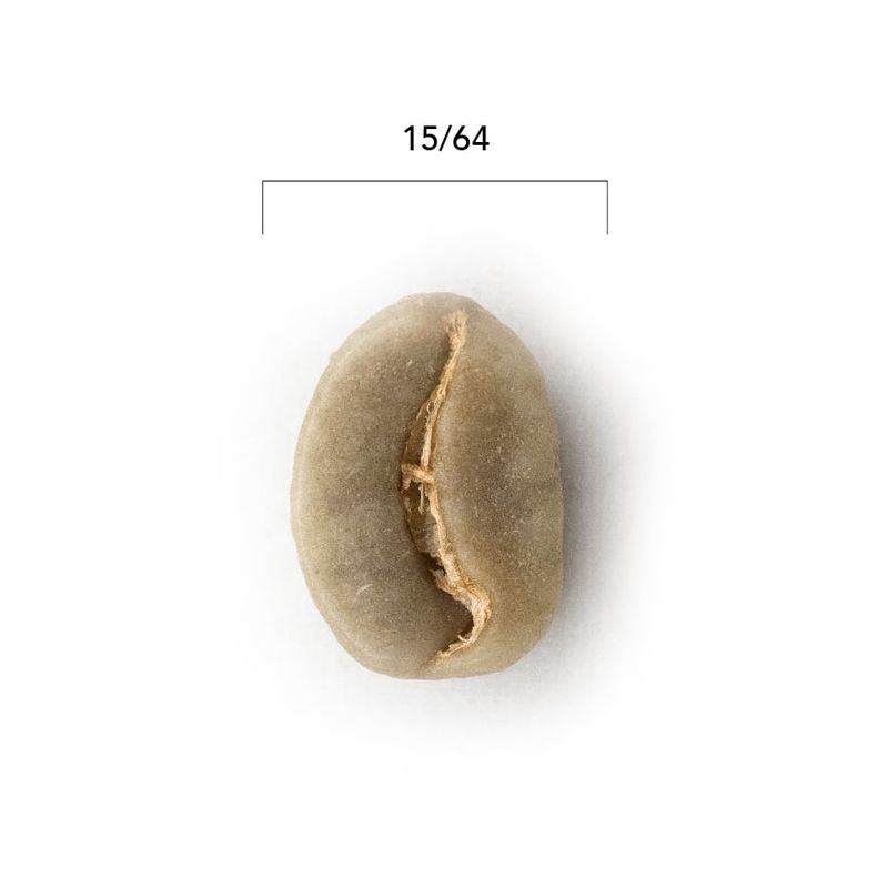 CAFE GLOMAR - Café Verde Europa +15 X 1 Kg