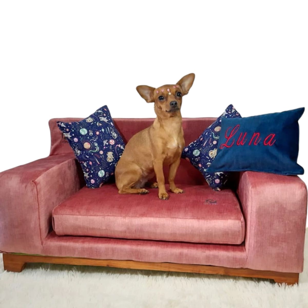 GENERICO - Sofá para Mascotas Modelo Classic M - ConSentido Diseño