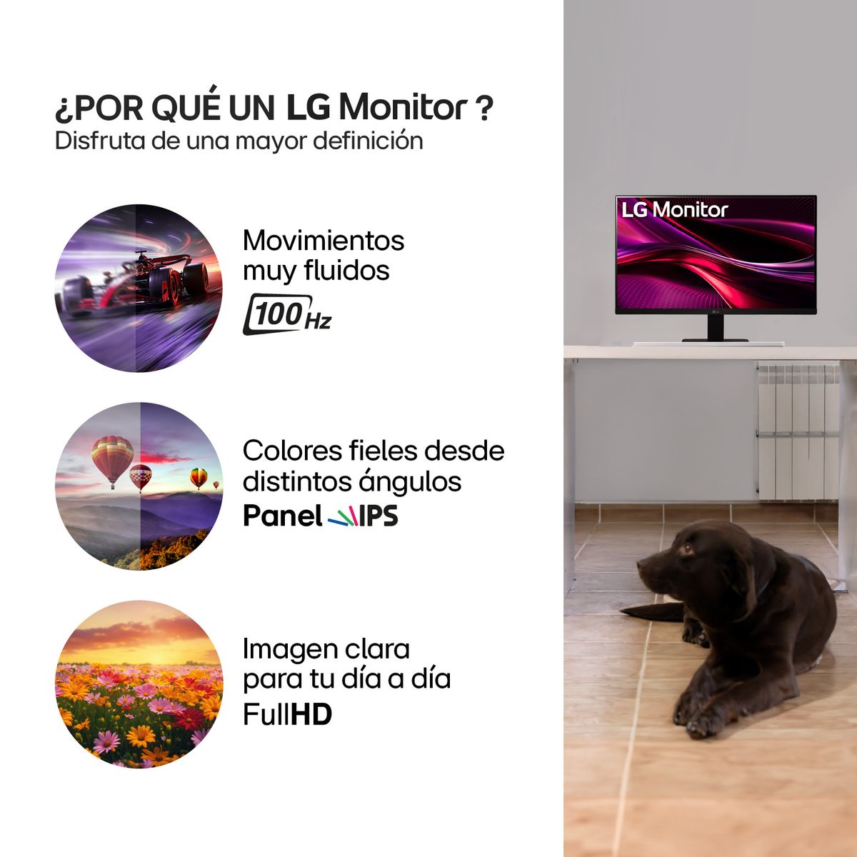 LG - Monitor LG 27MR400-B 27 Ips Full HD 100hz sin bordes