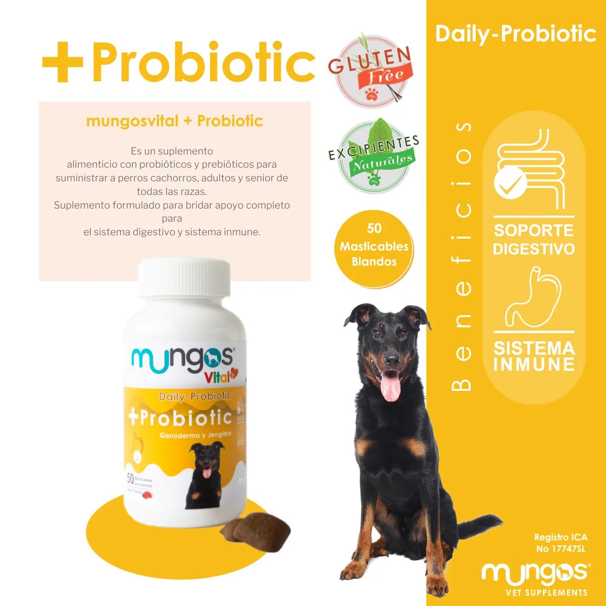 MUNGOS - PROBIOTICOS Y PREBIOTICOS PARA PERRO