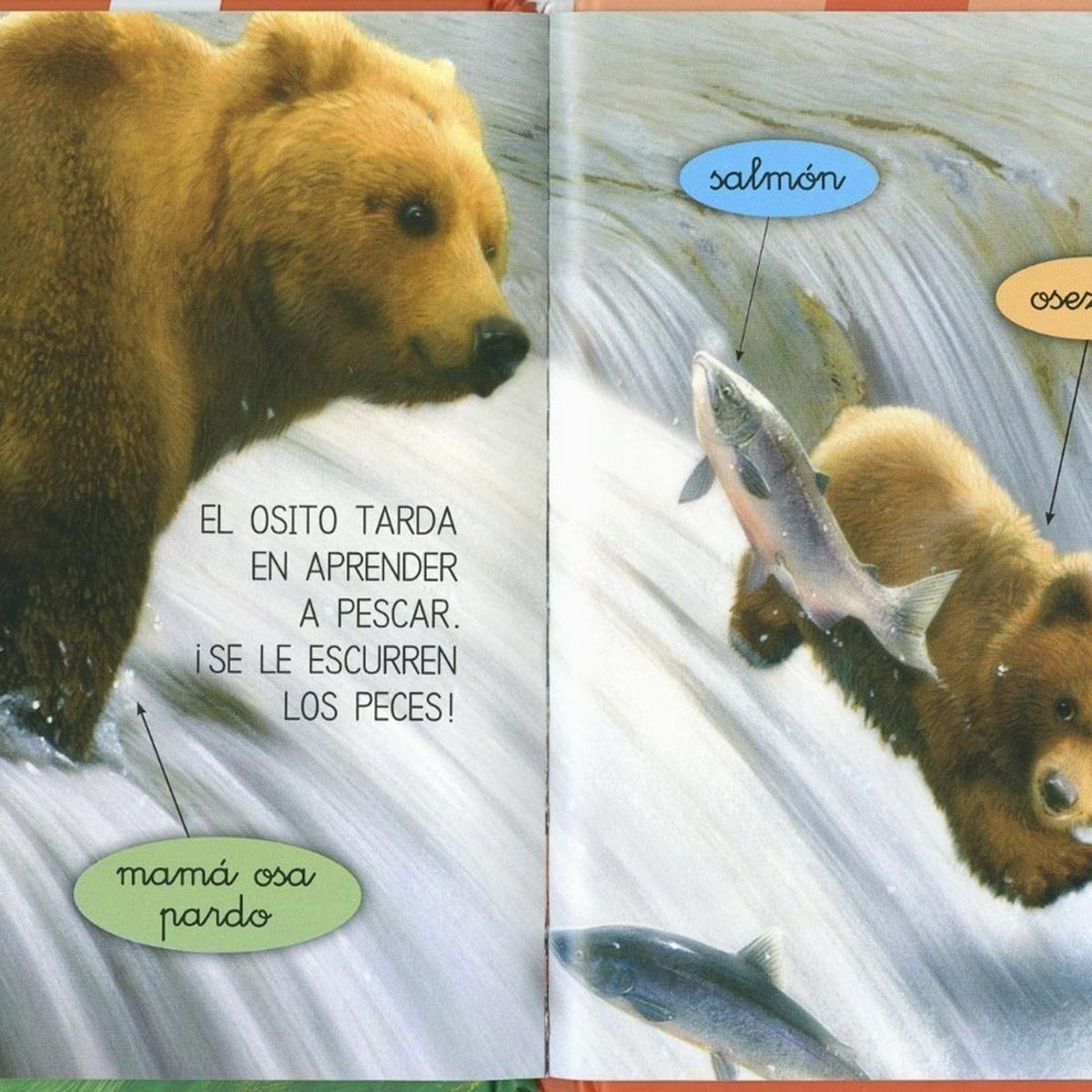SUSAETA - Los Bebes De Los Animales (t.d) Nivel 0