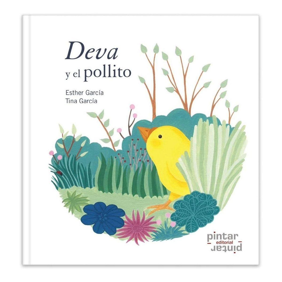 GENERICO - Deva Y El Pollito. Esther Garcia