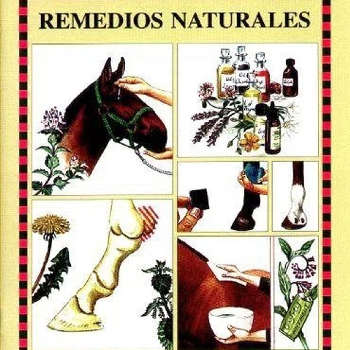 GENERICO - Remedios Naturales. Guias Ecuestres Ilustradas