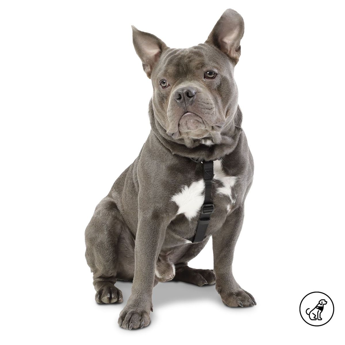 TOTTO - Arnes De Caminata Figgo