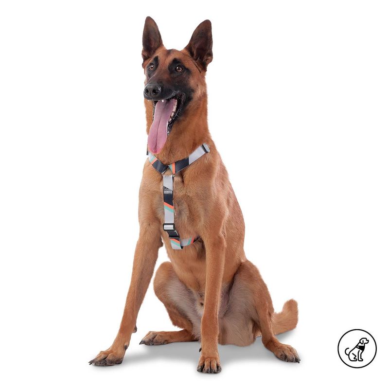 TOTTO - Arnés Figgo para mascota