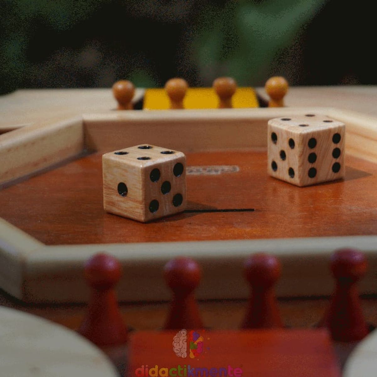 GENERICO - PARQUES DE MADERA 6 PTS 3D