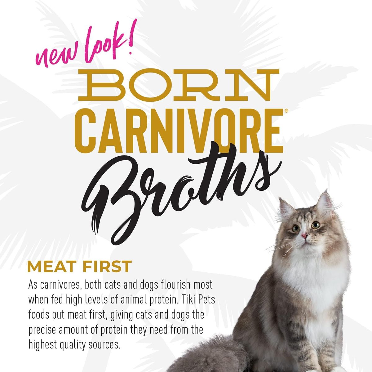 CATLIKE - Alimento Tiki Cat Broth Pollo En Caldo 37gr Pouch