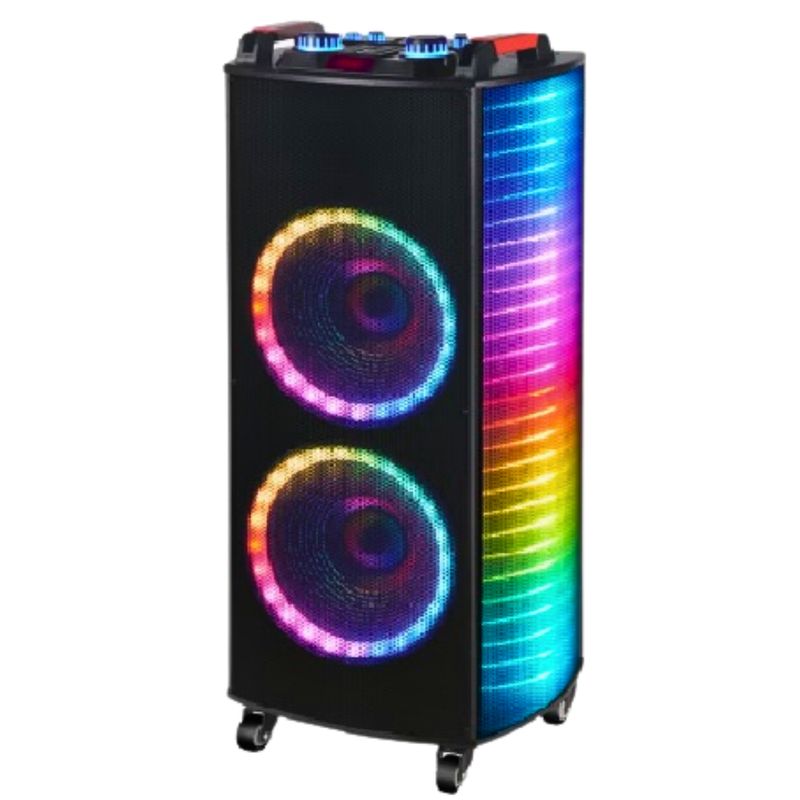 GENERICO - Parlante Doble De Piso 100W  12.2 pulgadas 2 Micrófono + Control
