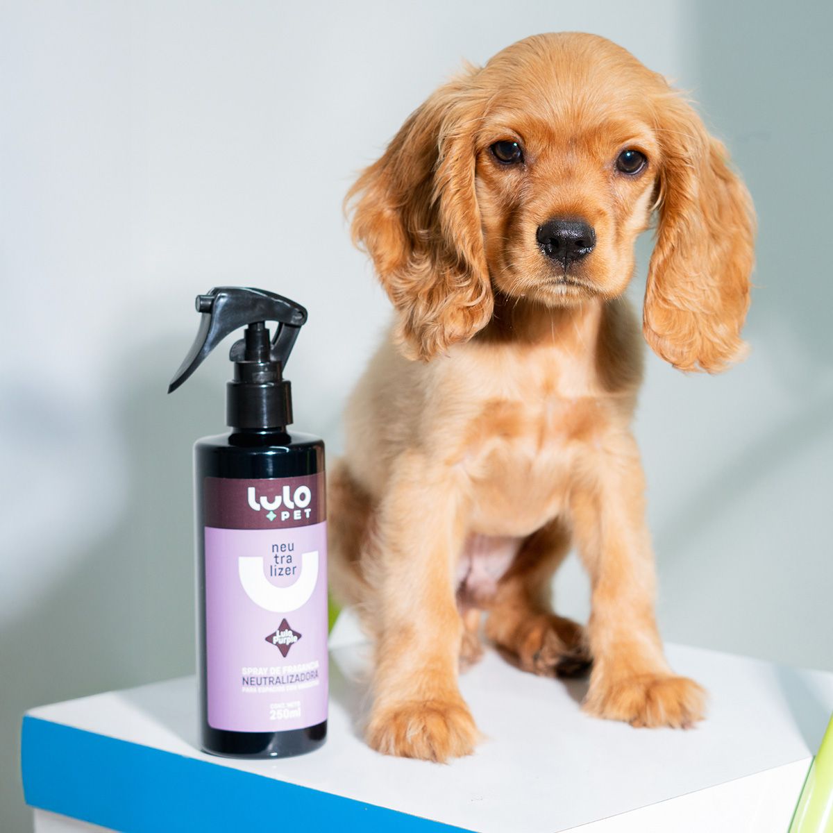 LULOPET - LuloPet Neutralizer Purple Eliminador Olores Mascotas 250ml