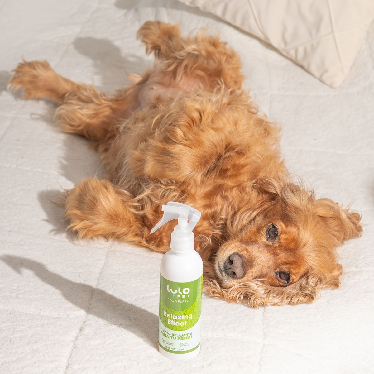LULOPET - LuloPet Relaxing Effect Dog y Puppy para Perro - 250 ml