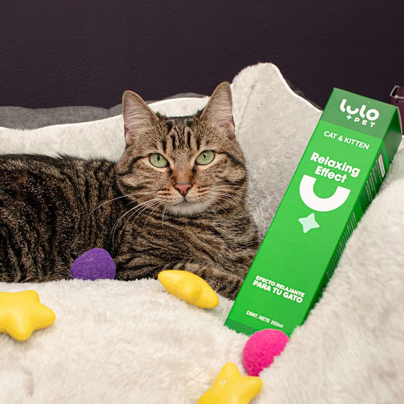 LULOPET - LuloPet Relaxing Effect Cat y Kitten  para Gato - 250 ml