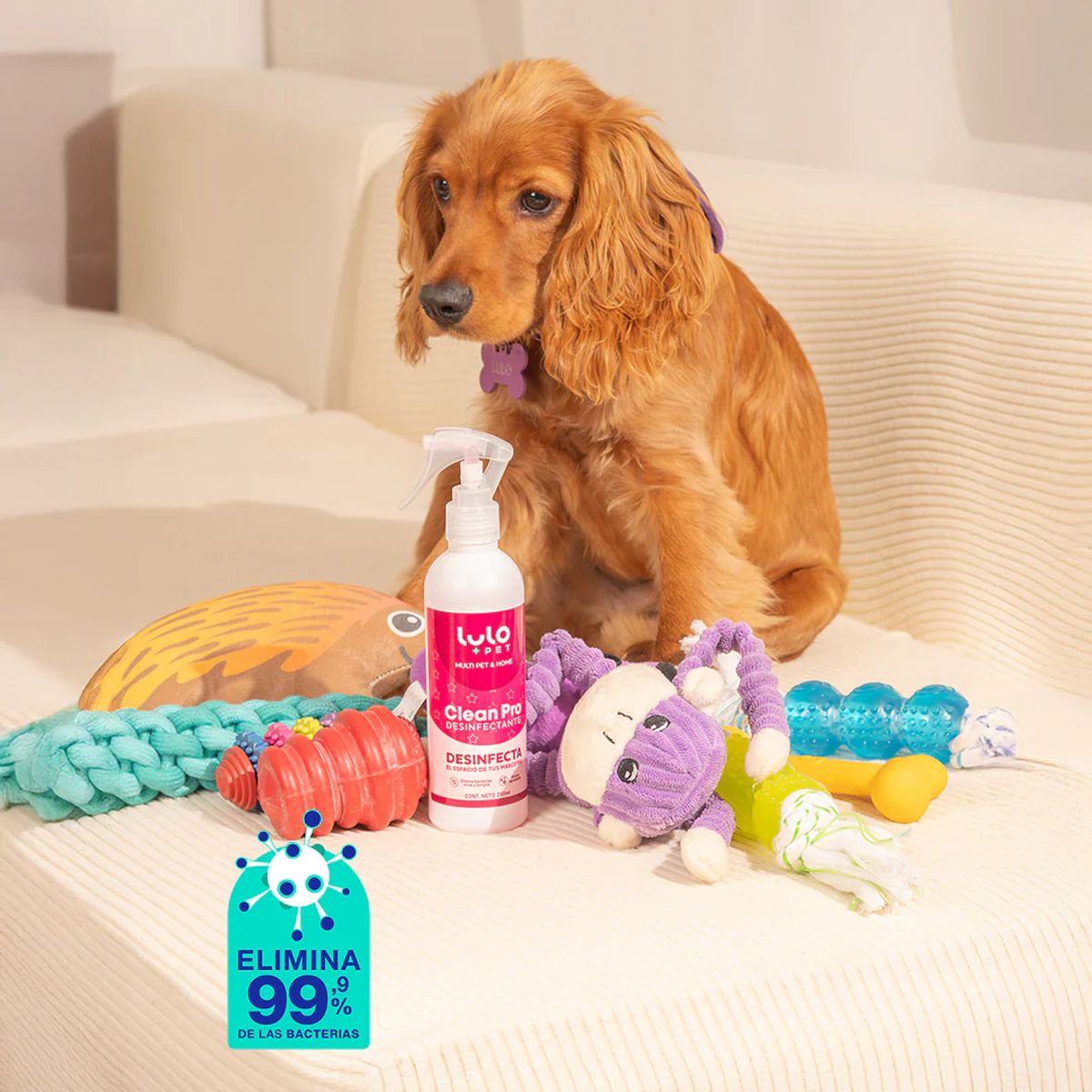 LULOPET - LuloPet Clean Pro Desinfectante Espacios Mascotas - 250 ml