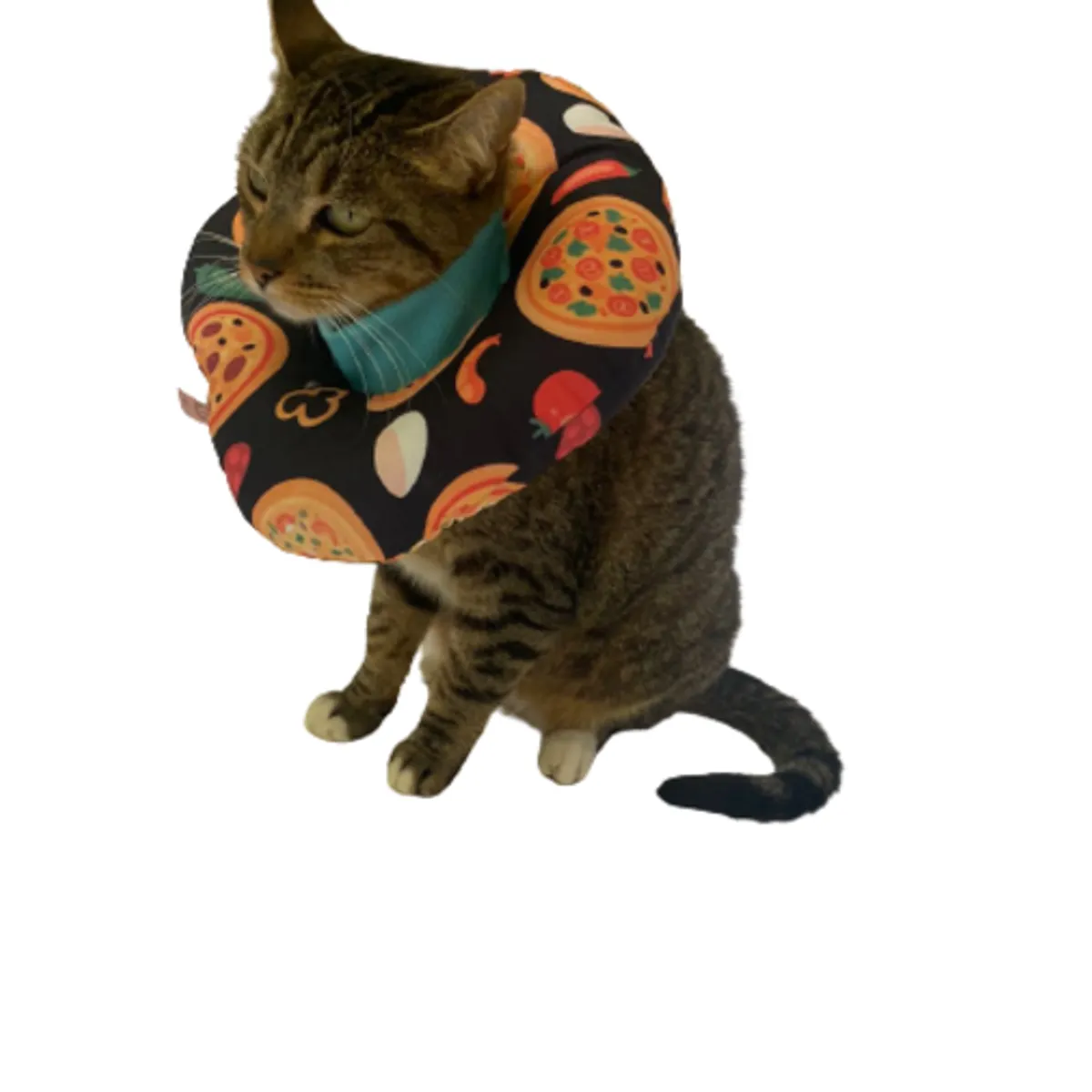 GENERICO - COLLAR ISABELINO TIPO DONA TALLA S gatos - perros 2.5 a 4 kg