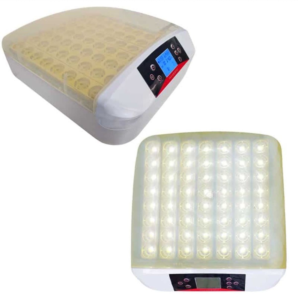 GENERICO - Incubadora de 56 huevos luz LED Huevos de Pato o Gallina