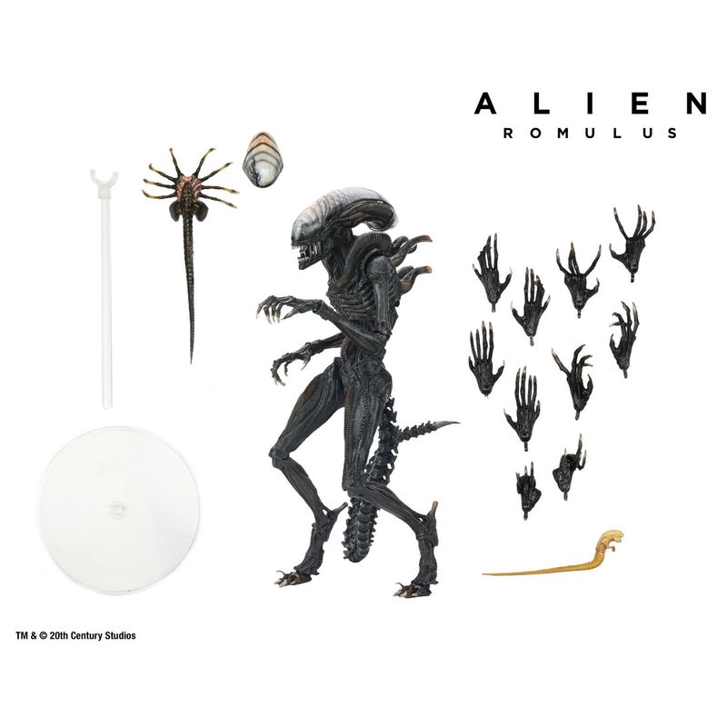 ALIEN - Alien Romulus Scorched Xenomorph Figura Neca Special 30 Cm
