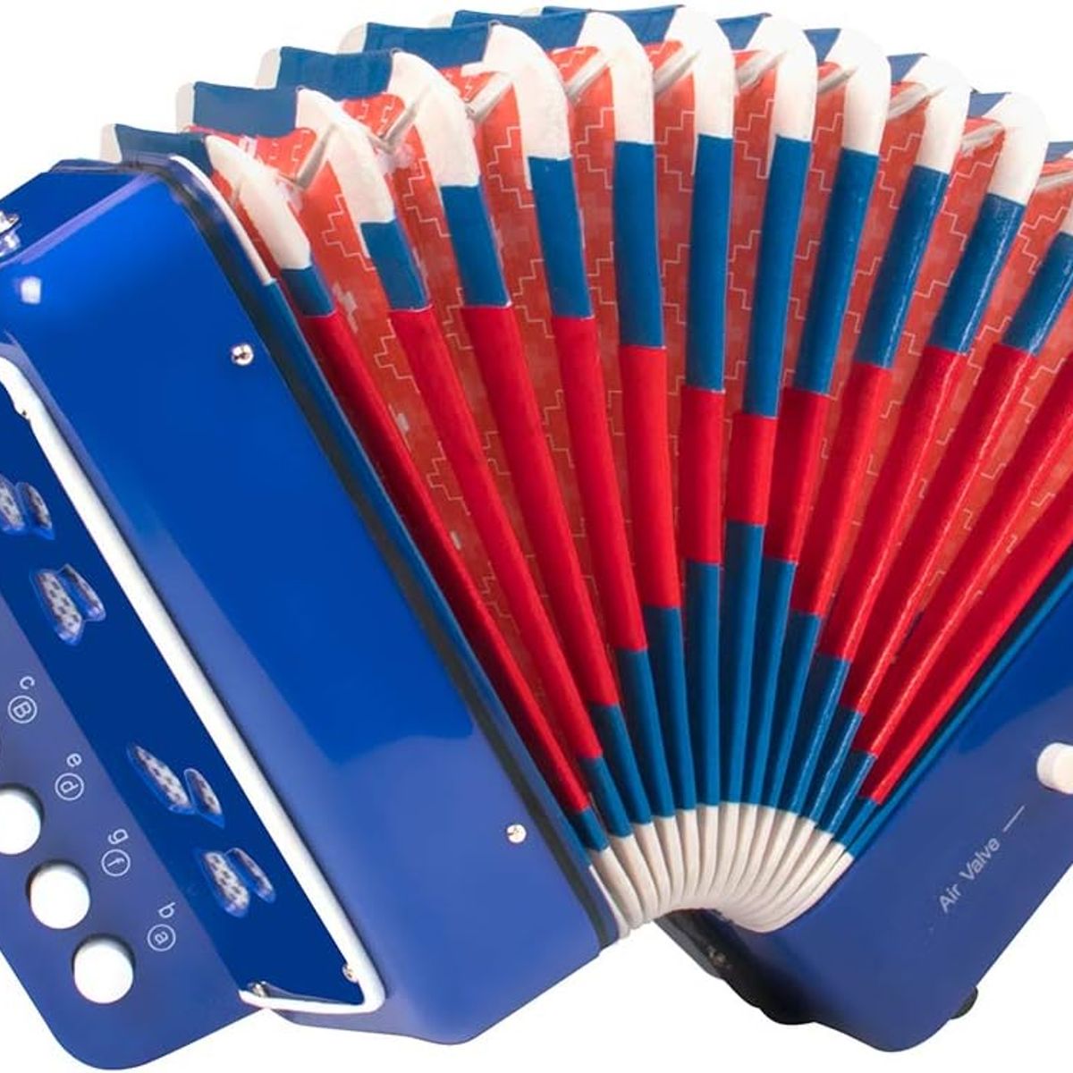 JON DI GROUP SAS - Acordeón Vallenato Para Niños Musical Sonido Real A