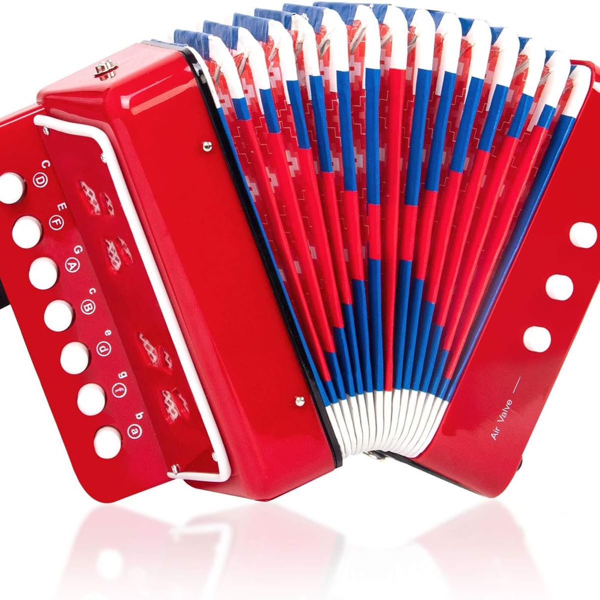 JON DI GROUP SAS - Acordeón Vallenato Para Niños Musical Sonido Real R