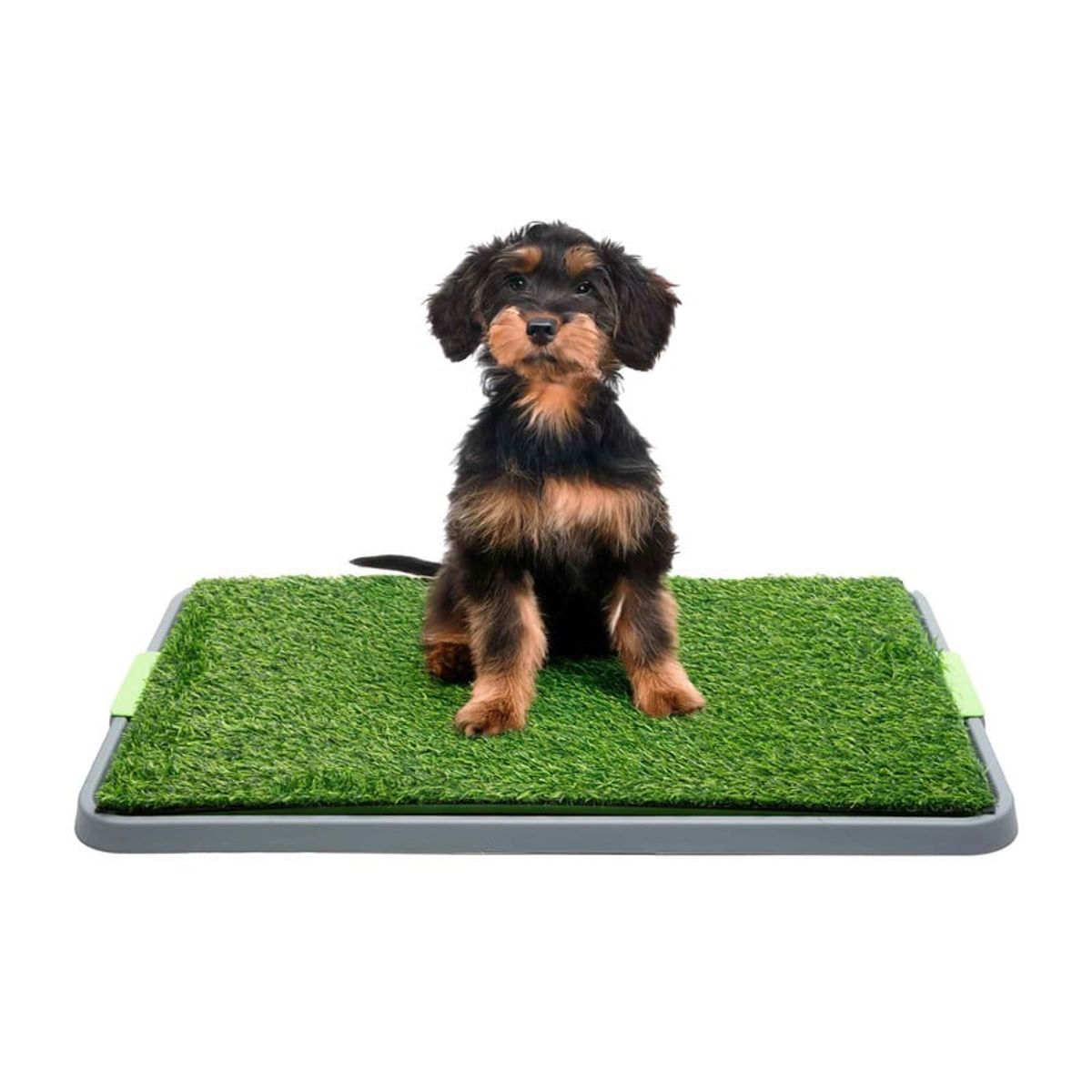 ENERGY PLUS - Tapete Sanitario para Perros Pasto Sintético Orinal Cachorro