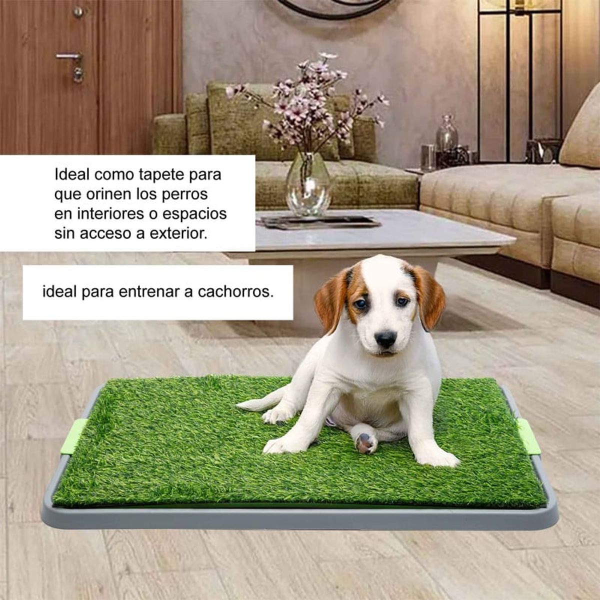 ENERGY PLUS - Tapete Sanitario para Perros Pasto Sintético Orinal Cachorro