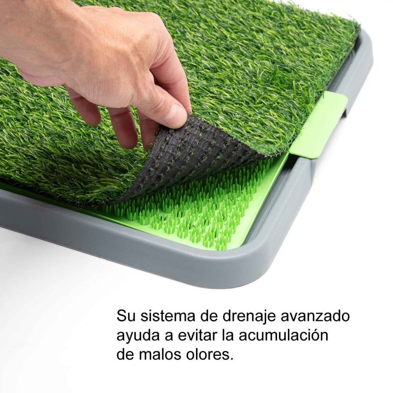 Tapete Sanitario para Perros Pasto Sintético Orinal Cachorro