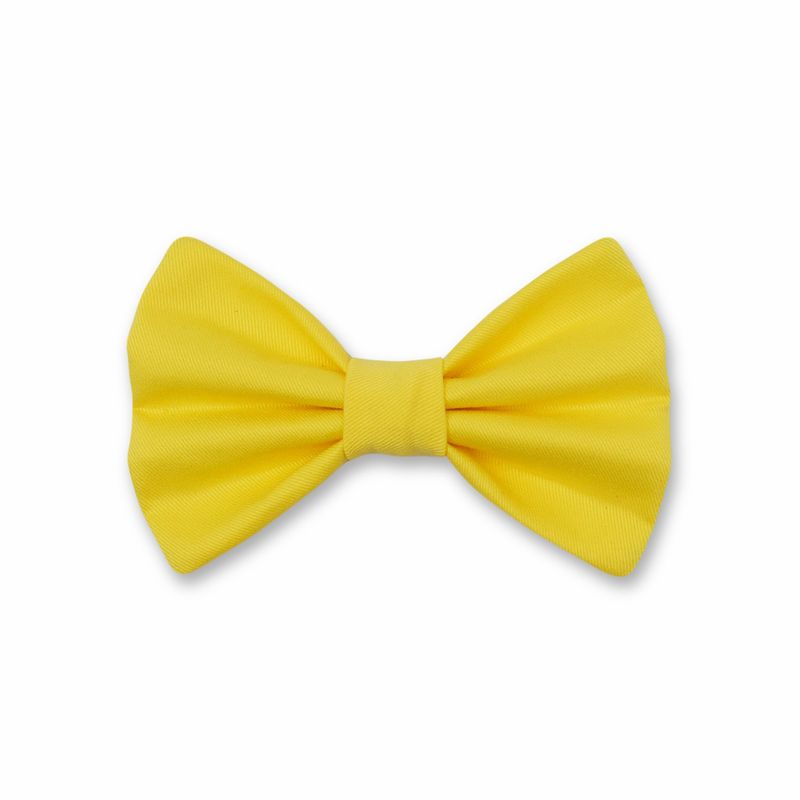 WAWAW - Corbatín para perro talla M Amarillo Pastel