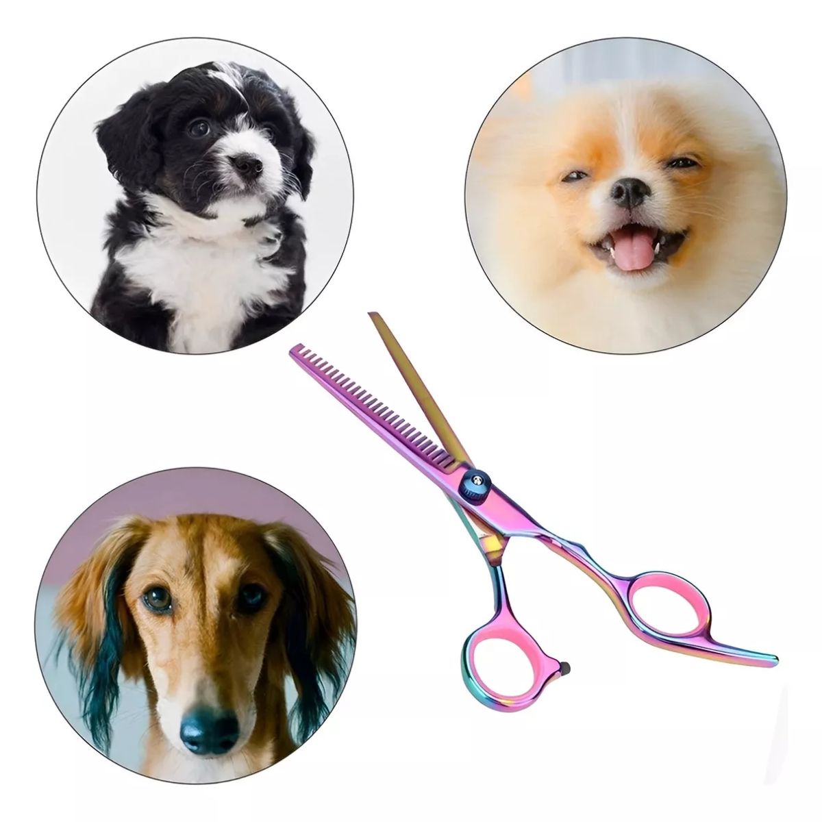 MILOPTS - Kit Tijeras Peluquería Canina 4 Piezas Para Perros y Gatos