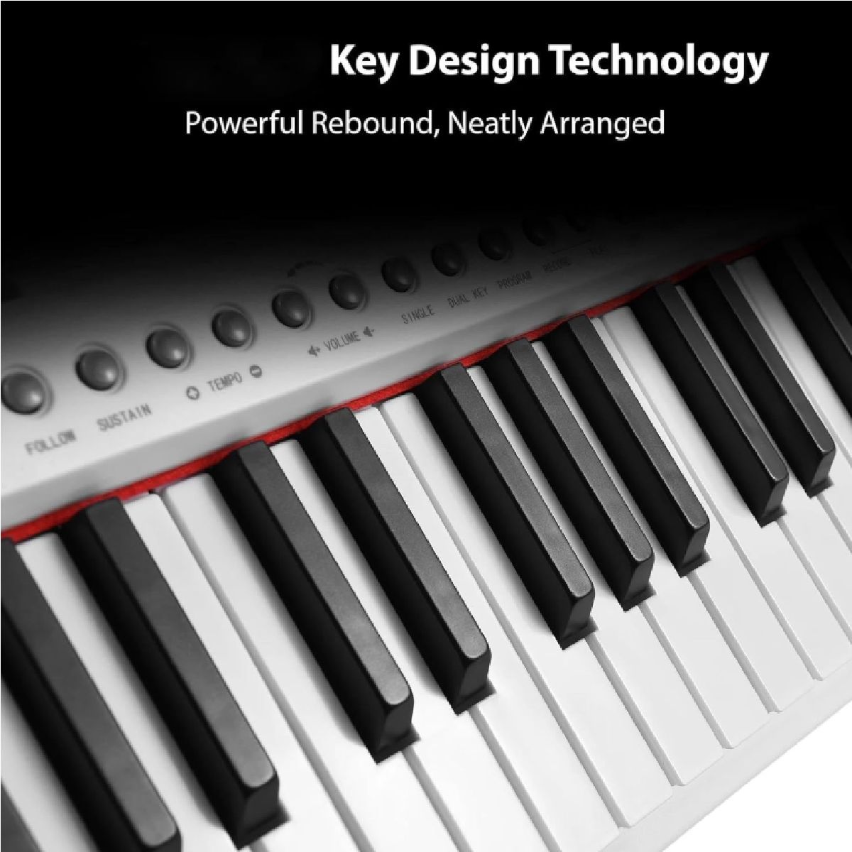 GENERICO - TECLADO ORGANETA PIANO ELECTRICO 61 TECLAS