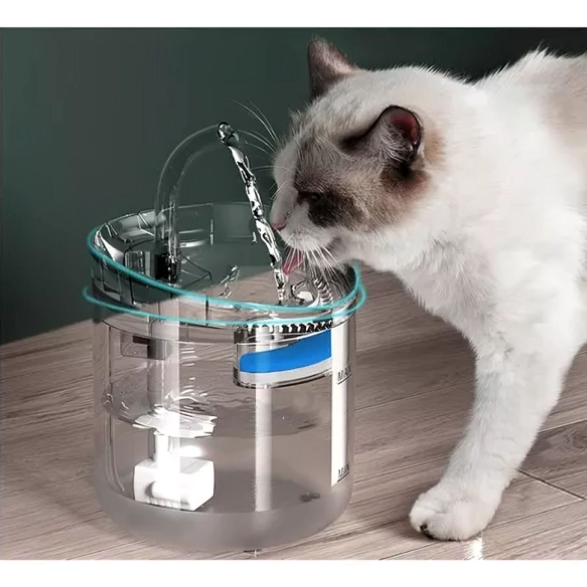 GENERICO - Fuente De Agua Gatos Perros Bebedero Automatico