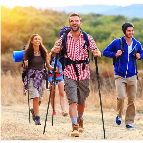 Bastones de trekking