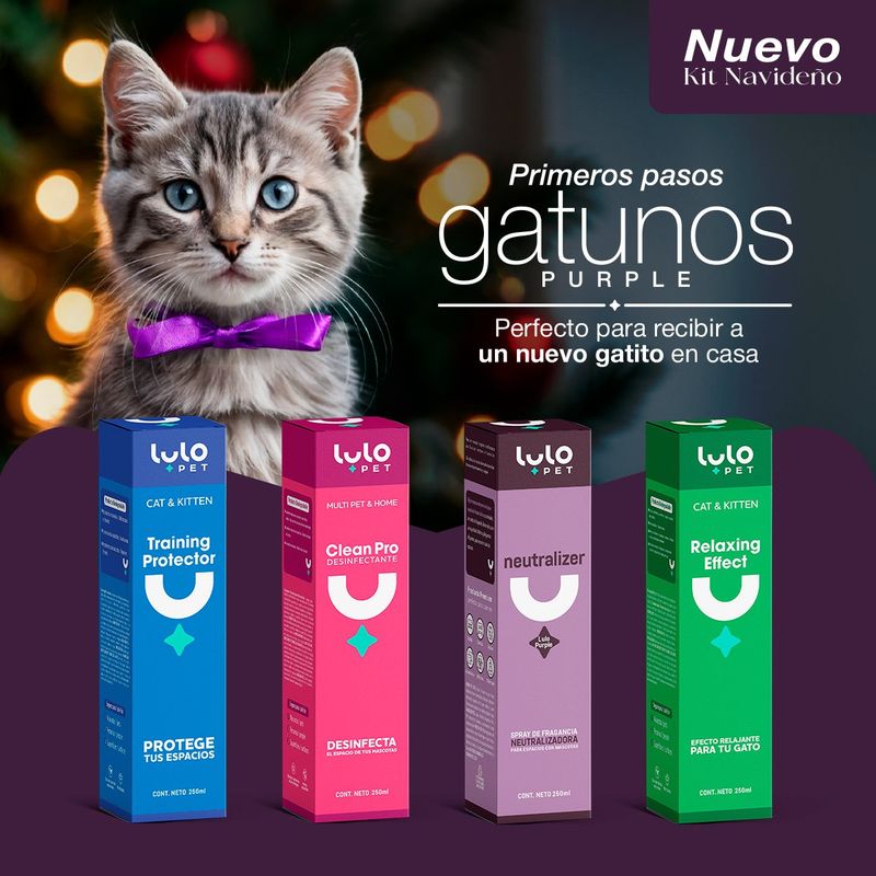 LULOPET - KIT PRIMEROS PASOS GATUNOS PURPLE LULOPET