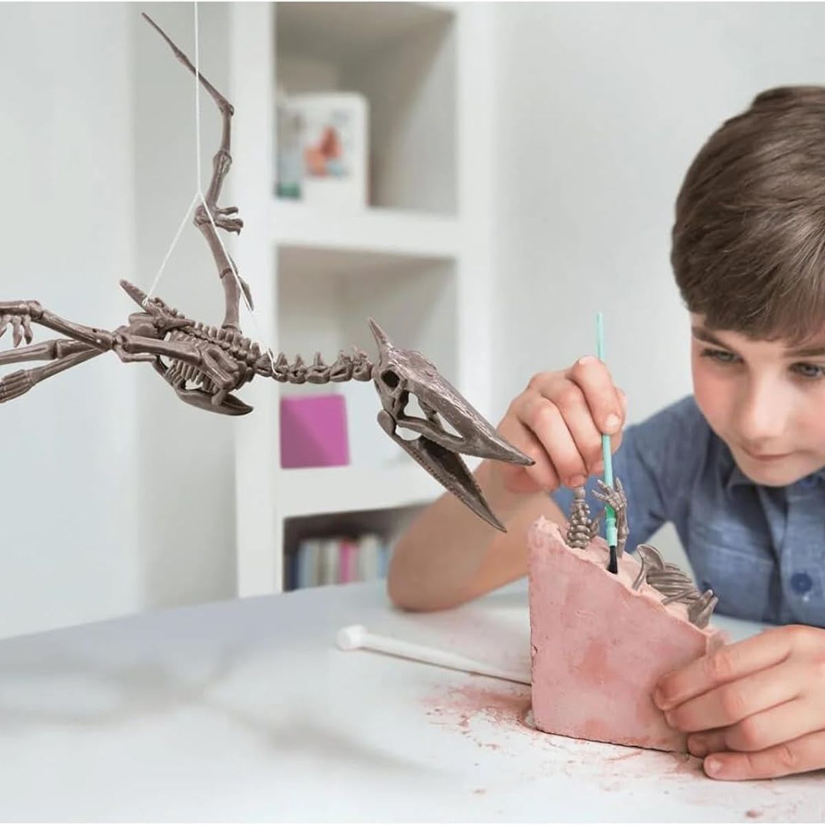 4M - ESQUELETO DE DINOSAURIOS PARA NIÑOS - KIT DE EXCAVACIÓN