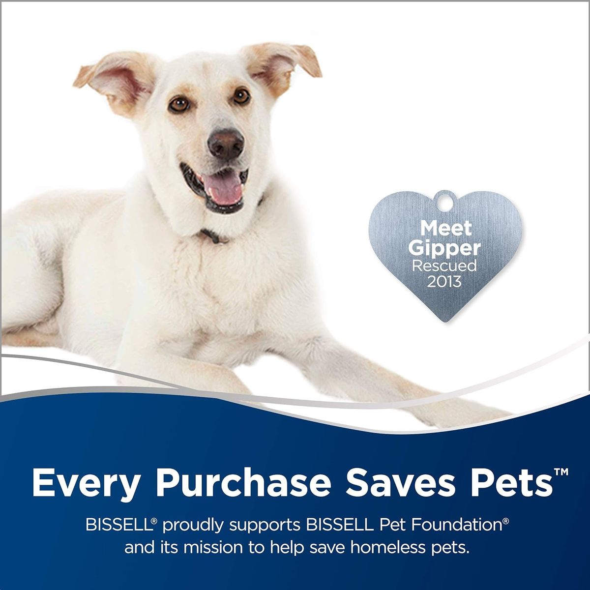 BISSELL - Limpiadora de vapor 3 en 1 BISSELL, uso interior y exterior, 2685A