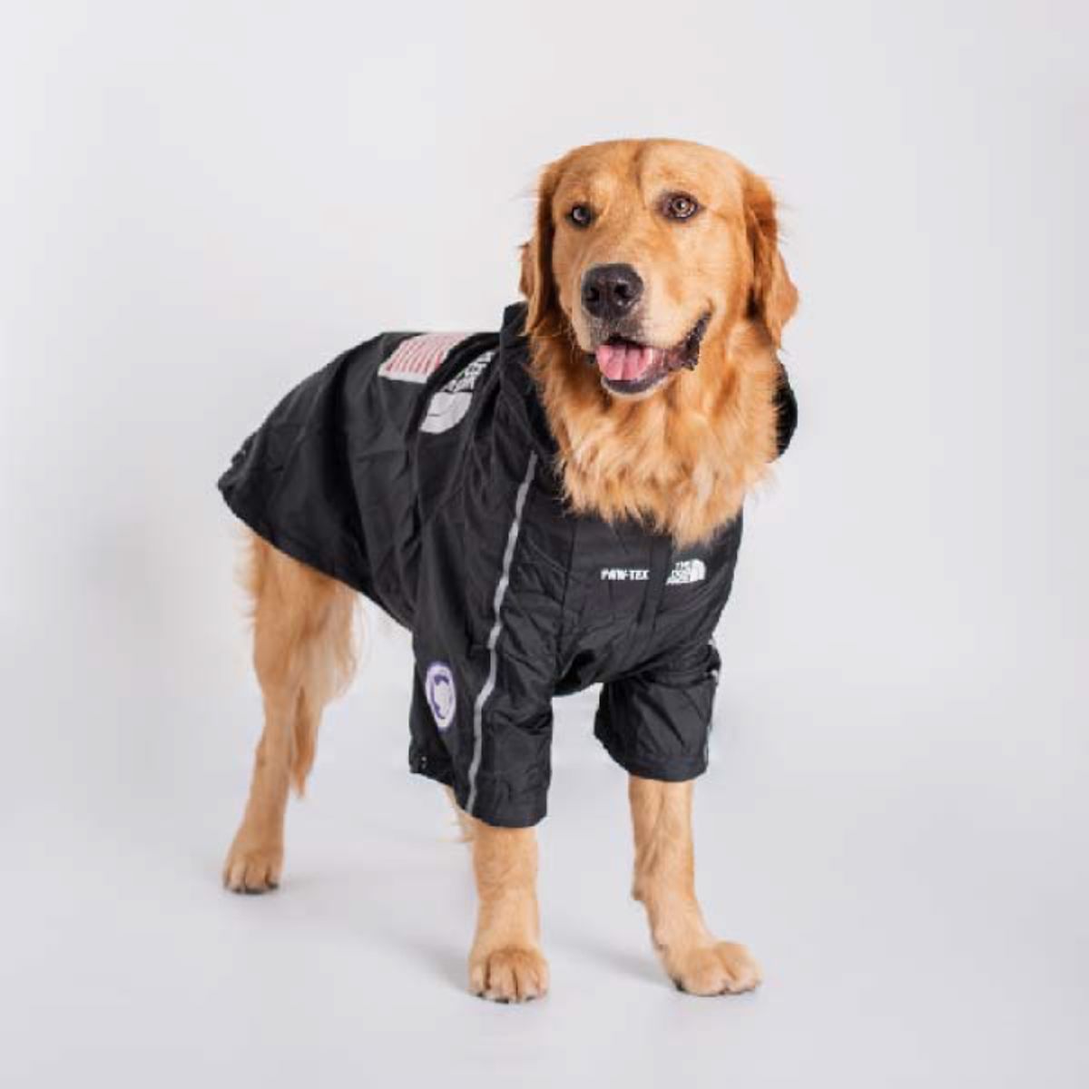GENERICO - Chaqueta para perros Negra Talla XL