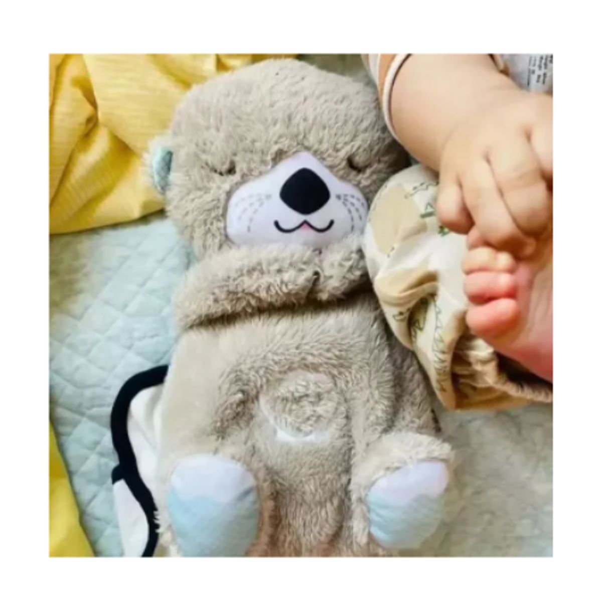 AFM - Nutria Relajante Compañera De Respiración