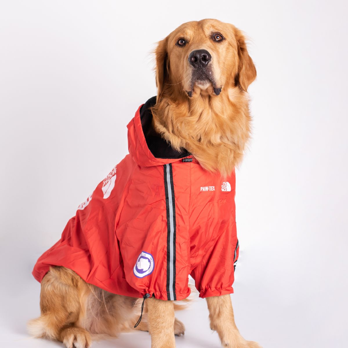 GENERICO - Chaqueta para perro Roja Talla M