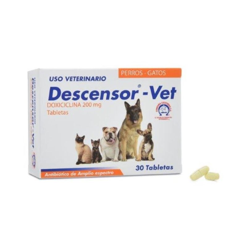 BOEHRINGER INGELHEIM - Descensor Vet Antibiotico Perros Gatos Caja X30 Tabletas